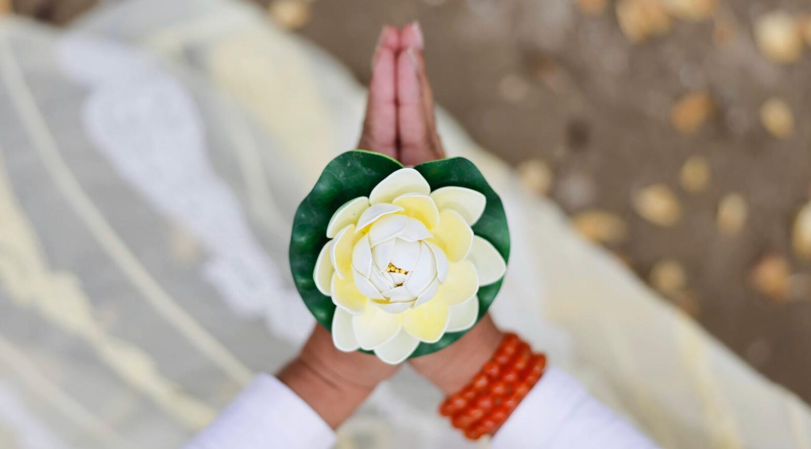 Sohum Miracles